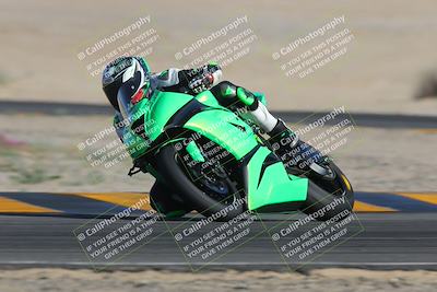 media/Feb-04-2023-SoCal Trackdays (Sat) [[8a776bf2c3]]/Turn 4 (Tree of Life 2pm)/